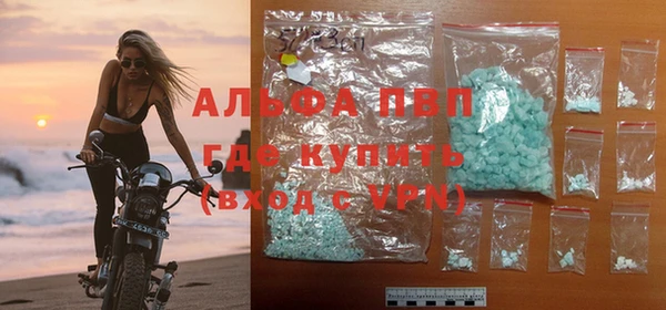 СК Медногорск