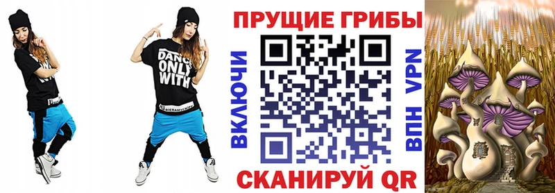 купить   Мосальск  MEGA ссылки  Псилоцибиновые грибы Psilocybe 