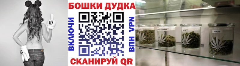 MEGA   Мосальск  Бошки марихуана сатива 